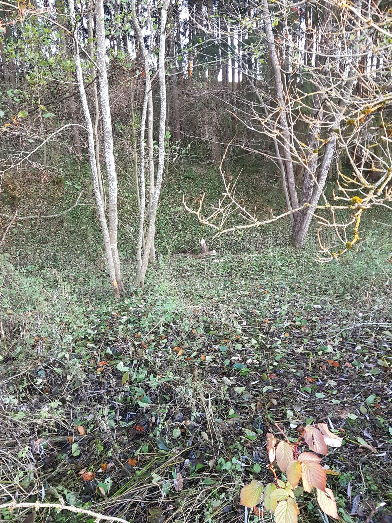 Galeriebild: WhatsApp Image 2022 06 05 at 16.58.29 (2)